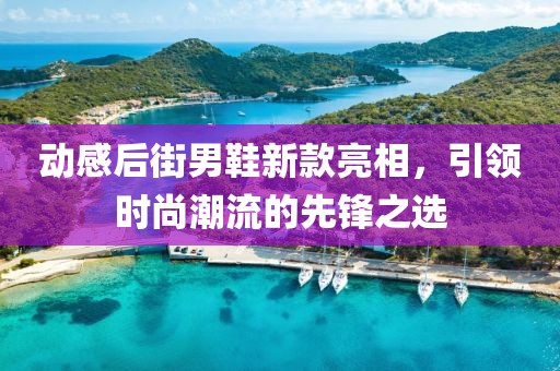 動感后街男鞋新款亮相，引領(lǐng)時尚潮流的先鋒之選
