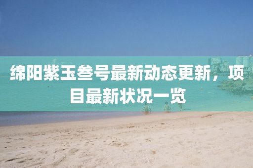 綿陽紫玉叁號最新動態(tài)更新，項目最新狀況一覽