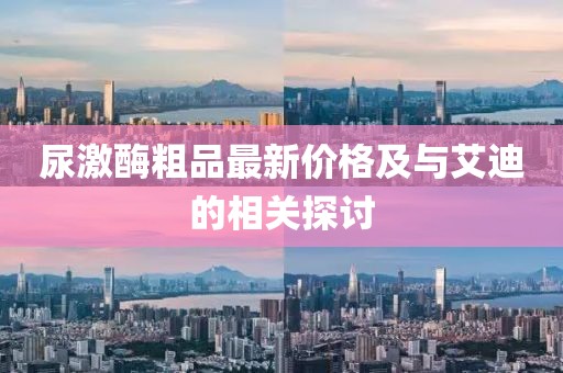 尿激酶粗品最新價(jià)格及與艾迪的相關(guān)探討