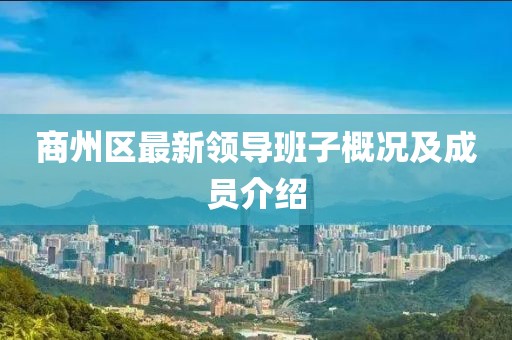 商州區(qū)最新領(lǐng)導(dǎo)班子概況及成員介紹