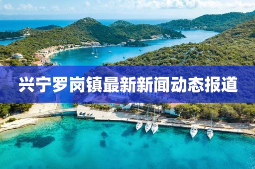 興寧羅崗鎮(zhèn)最新新聞動態(tài)報(bào)道