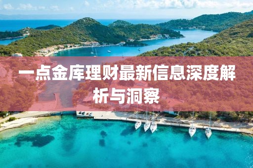 一點金庫理財最新信息深度解析與洞察