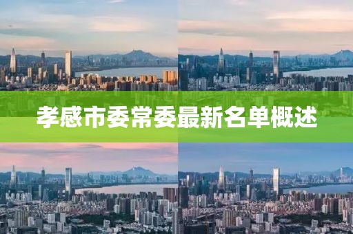 孝感市委常委最新名單概述