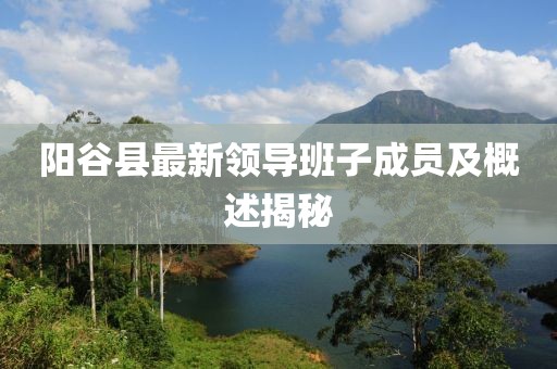 陽(yáng)谷縣最新領(lǐng)導(dǎo)班子成員及概述揭秘