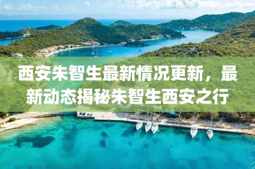 西安朱智生最新情況更新，最新動態(tài)揭秘朱智生西安之行
