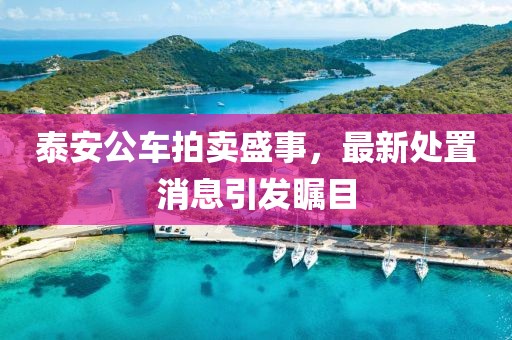 泰安公車(chē)拍賣(mài)盛事，最新處置消息引發(fā)矚目