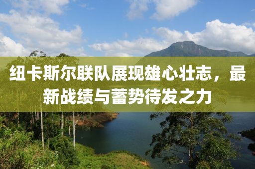 紐卡斯?fàn)柭?lián)隊展現(xiàn)雄心壯志，最新戰(zhàn)績與蓄勢待發(fā)之力