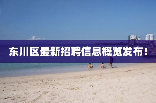 東川區(qū)最新招聘信息概覽發(fā)布！