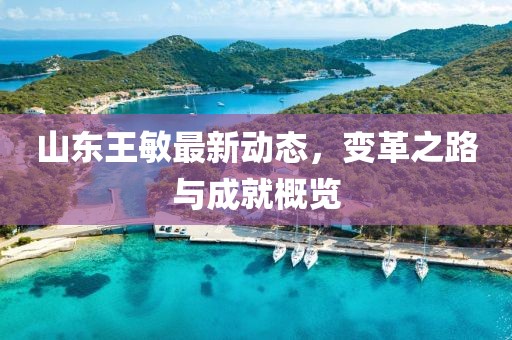 山東王敏最新動(dòng)態(tài)，變革之路與成就概覽