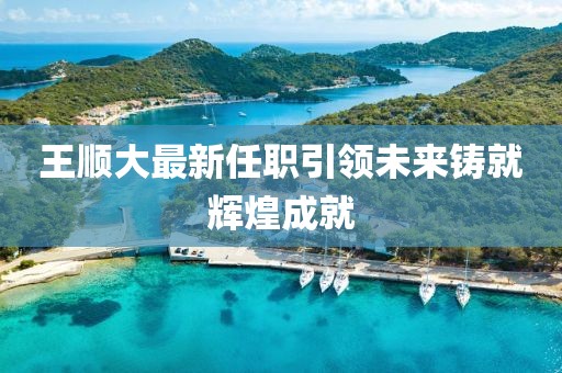 王順大最新任職引領(lǐng)未來鑄就輝煌成就