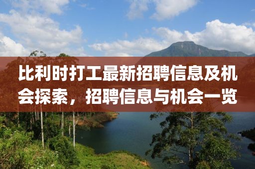 比利時打工最新招聘信息及機會探索，招聘信息與機會一覽