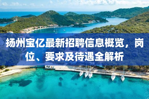 揚州寶億最新招聘信息概覽，崗位、要求及待遇全解析