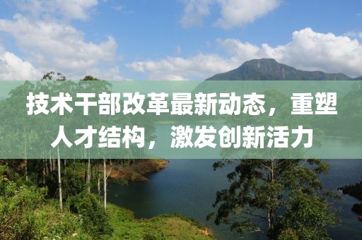 技術(shù)干部改革最新動態(tài)，重塑人才結(jié)構(gòu)，激發(fā)創(chuàng)新活力