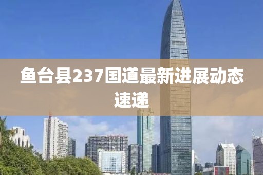 魚(yú)臺(tái)縣237國(guó)道最新進(jìn)展動(dòng)態(tài)速遞
