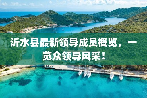 沂水縣最新領(lǐng)導(dǎo)成員概覽，一覽眾領(lǐng)導(dǎo)風(fēng)采！