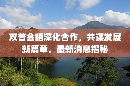 雙普會晤深化合作，共謀發(fā)展新篇章，最新消息揭秘