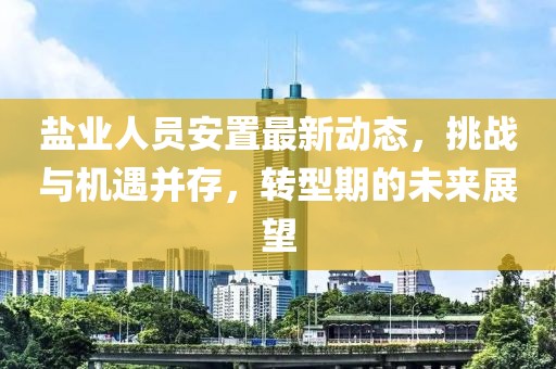 鹽業(yè)人員安置最新動態(tài)，挑戰(zhàn)與機遇并存，轉(zhuǎn)型期的未來展望