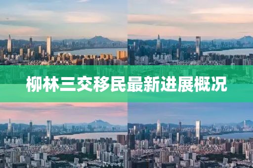 柳林三交移民最新進(jìn)展概況