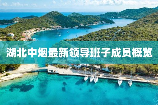 湖北中煙最新領(lǐng)導(dǎo)班子成員概覽