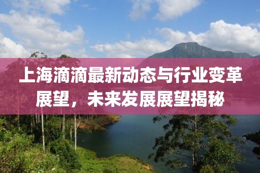上海滴滴最新動態(tài)與行業(yè)變革展望，未來發(fā)展展望揭秘