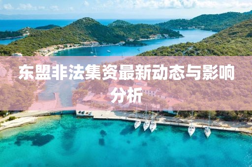 東盟非法集資最新動態(tài)與影響分析