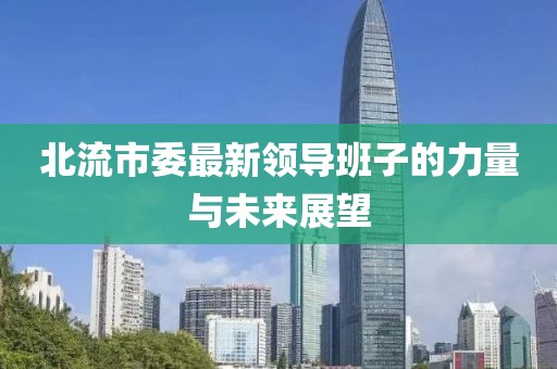 北流市委最新領(lǐng)導(dǎo)班子的力量與未來展望