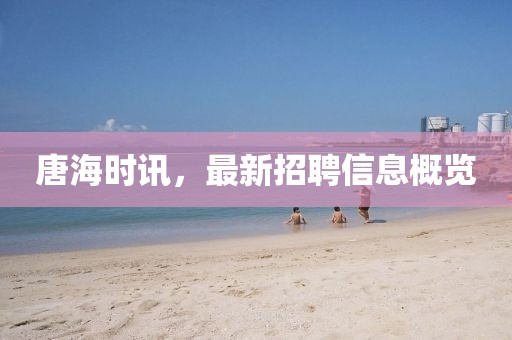 唐海時(shí)訊，最新招聘信息概覽