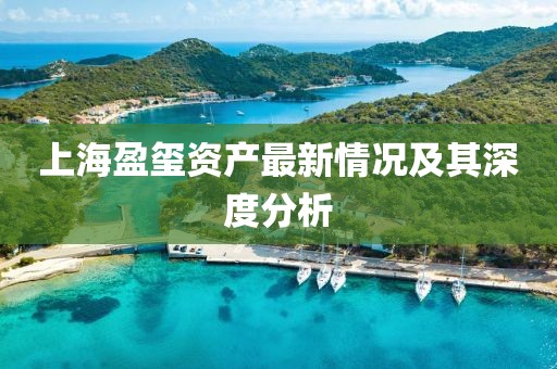 上海盈璽資產(chǎn)最新情況及其深度分析