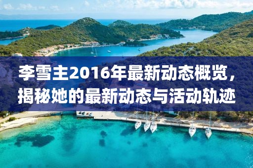 李雪主2016年最新動態(tài)概覽，揭秘她的最新動態(tài)與活動軌跡