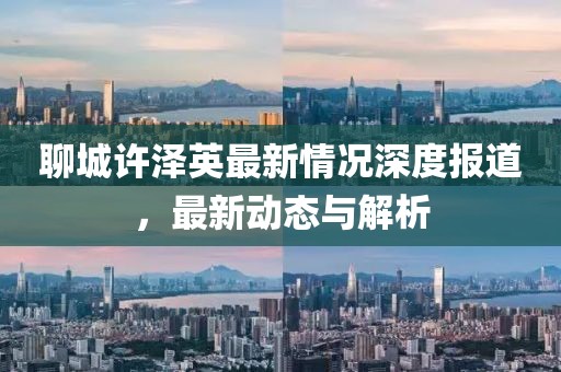 聊城許澤英最新情況深度報道，最新動態(tài)與解析