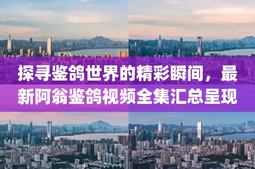 探尋鑒鴿世界的精彩瞬間，最新阿翁鑒鴿視頻全集匯總呈現(xiàn)