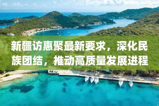 新疆訪(fǎng)惠聚最新要求，深化民族團(tuán)結(jié)，推動(dòng)高質(zhì)量發(fā)展進(jìn)程