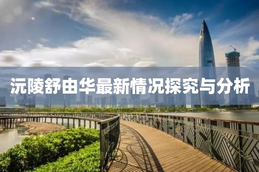 沅陵舒由華最新情況探究與分析