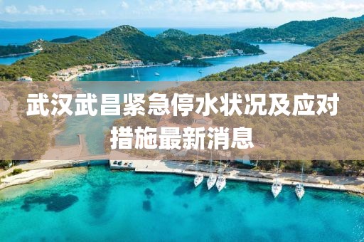 武漢武昌緊急停水狀況及應(yīng)對(duì)措施最新消息