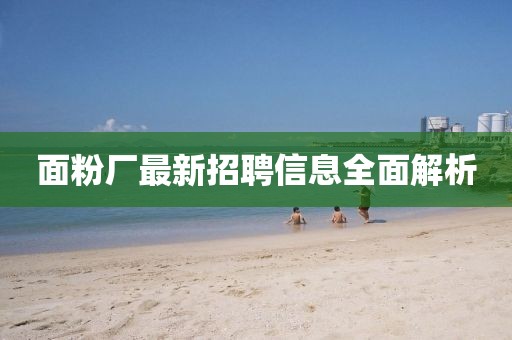 面粉廠最新招聘信息全面解析