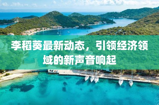 李稻葵最新動(dòng)態(tài)，引領(lǐng)經(jīng)濟(jì)領(lǐng)域的新聲音響起
