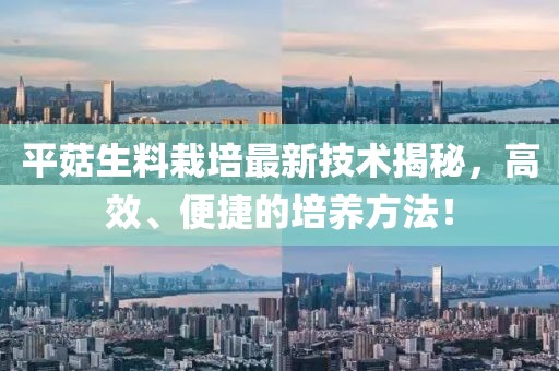 平菇生料栽培最新技術(shù)揭秘，高效、便捷的培養(yǎng)方法！