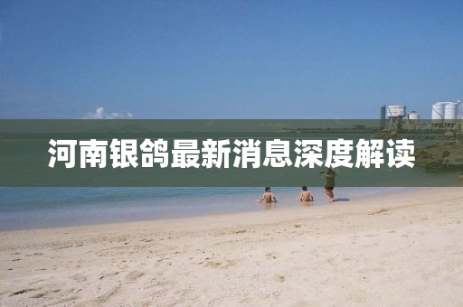 河南銀鴿最新消息深度解讀