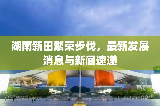 湖南新田繁榮步伐，最新發(fā)展消息與新聞速遞