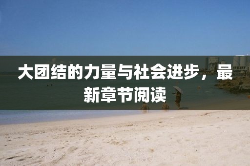 大團(tuán)結(jié)的力量與社會進(jìn)步，最新章節(jié)閱讀