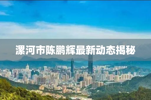 漯河市陳鵬輝最新動態(tài)揭秘