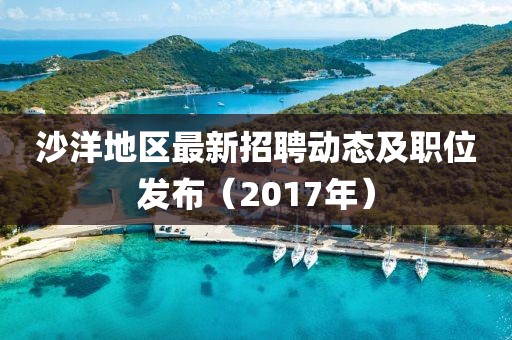 沙洋地區(qū)最新招聘動態(tài)及職位發(fā)布（2017年）