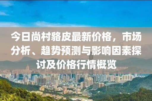 今日尚村貉皮最新價(jià)格，市場(chǎng)分析、趨勢(shì)預(yù)測(cè)與影響因素探討及價(jià)格行情概覽