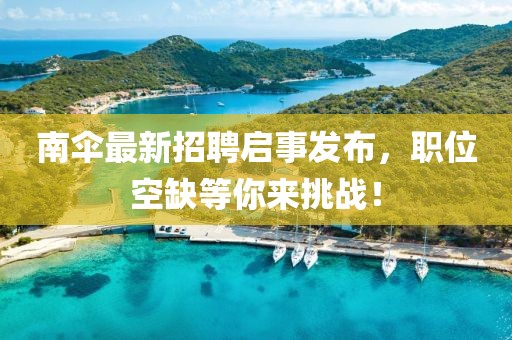 南傘最新招聘啟事發(fā)布，職位空缺等你來挑戰(zhàn)！