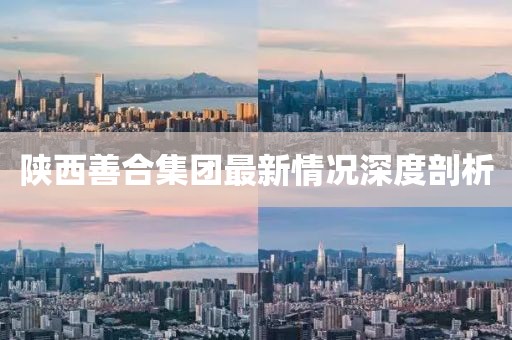 陜西善合集團最新情況深度剖析