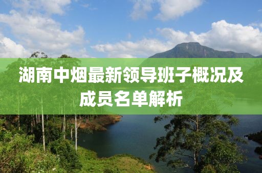 湖南中煙最新領導班子概況及成員名單解析