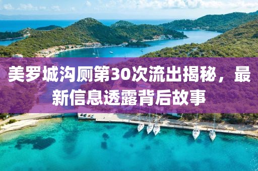 美羅城溝廁第30次流出揭秘，最新信息透露背后故事