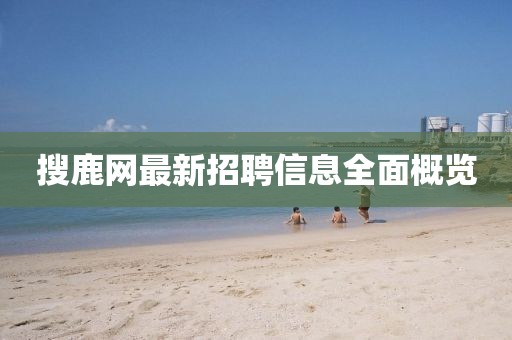 搜鹿網(wǎng)最新招聘信息全面概覽