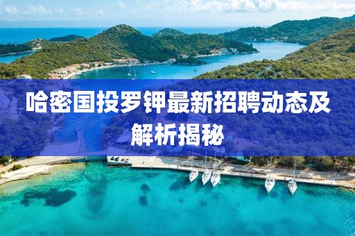 哈密國投羅鉀最新招聘動(dòng)態(tài)及解析揭秘