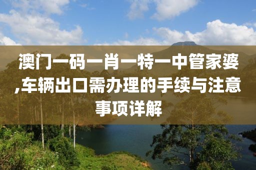 澳門一碼一肖一特一中管家婆,車輛出口需辦理的手續(xù)與注意事項詳解